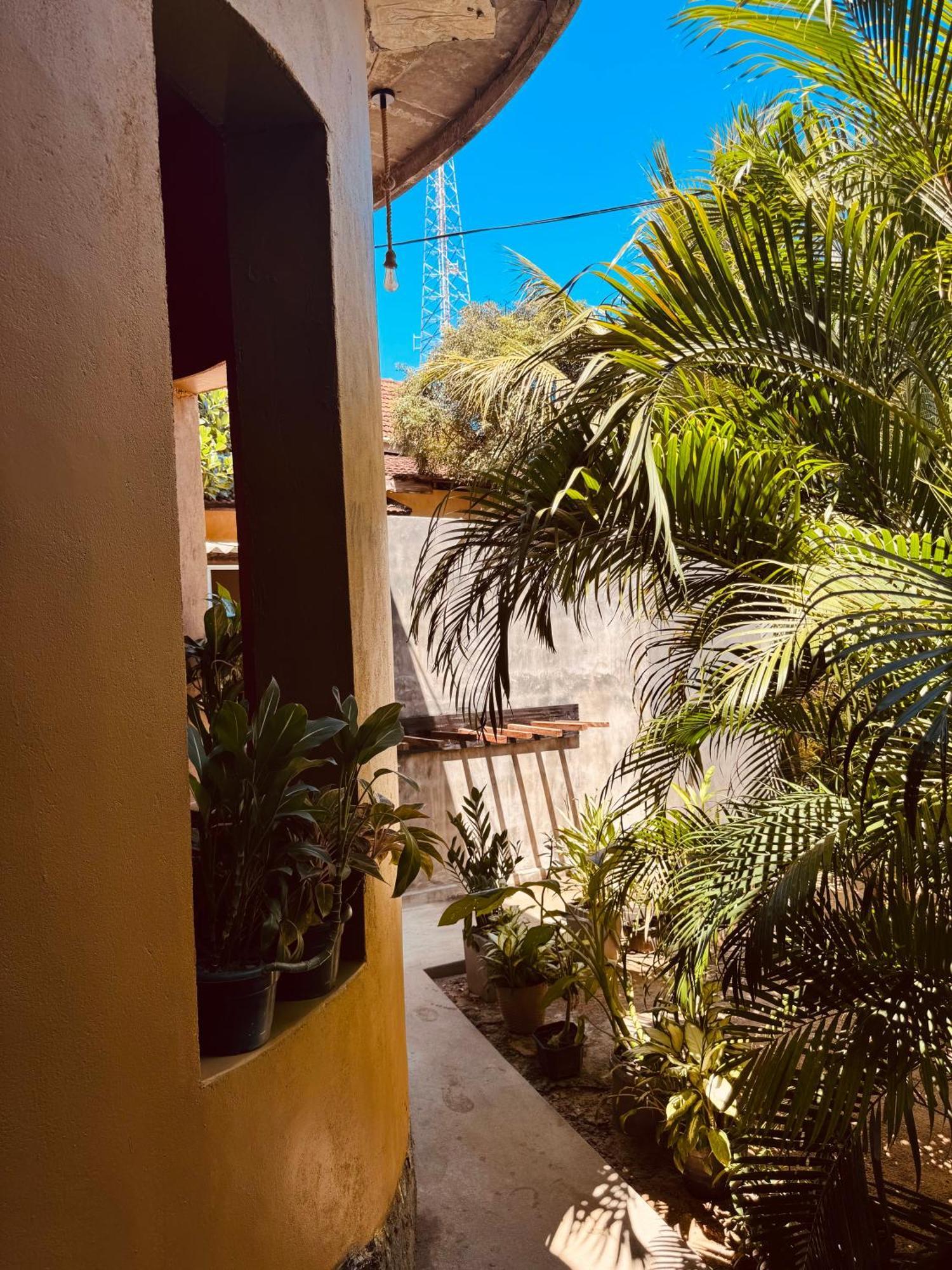 Dreamy Hostel Arugambay Arugam Bay Esterno foto